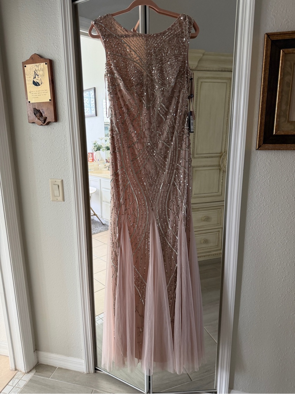 Adrianna Papell Blush Pink Beaded Evening Dress Tag